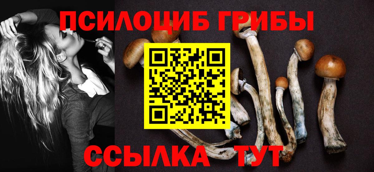 Галлюциногенные грибы GOLDEN TEACHER Серов